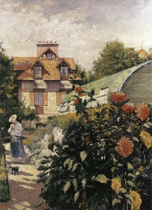 Gustave Caillebotte Big Chrysanthemum in the garden Norge oil painting art